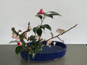 桜2F